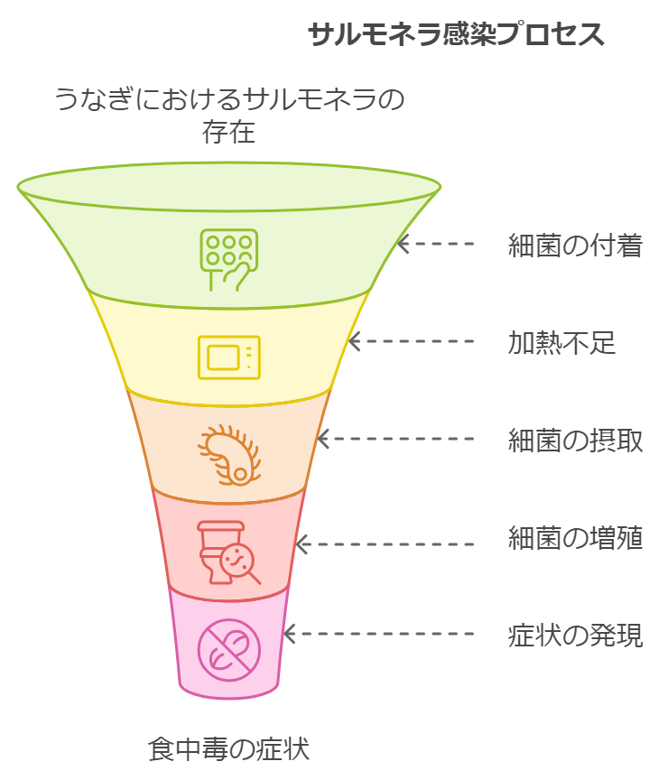 サルモネラ菌感染のメカニズム