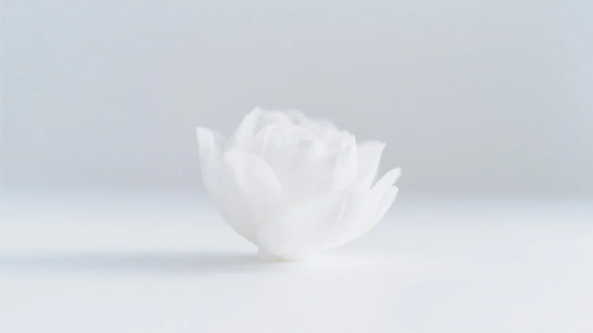 藤井風の「真っ白」を考察してみた